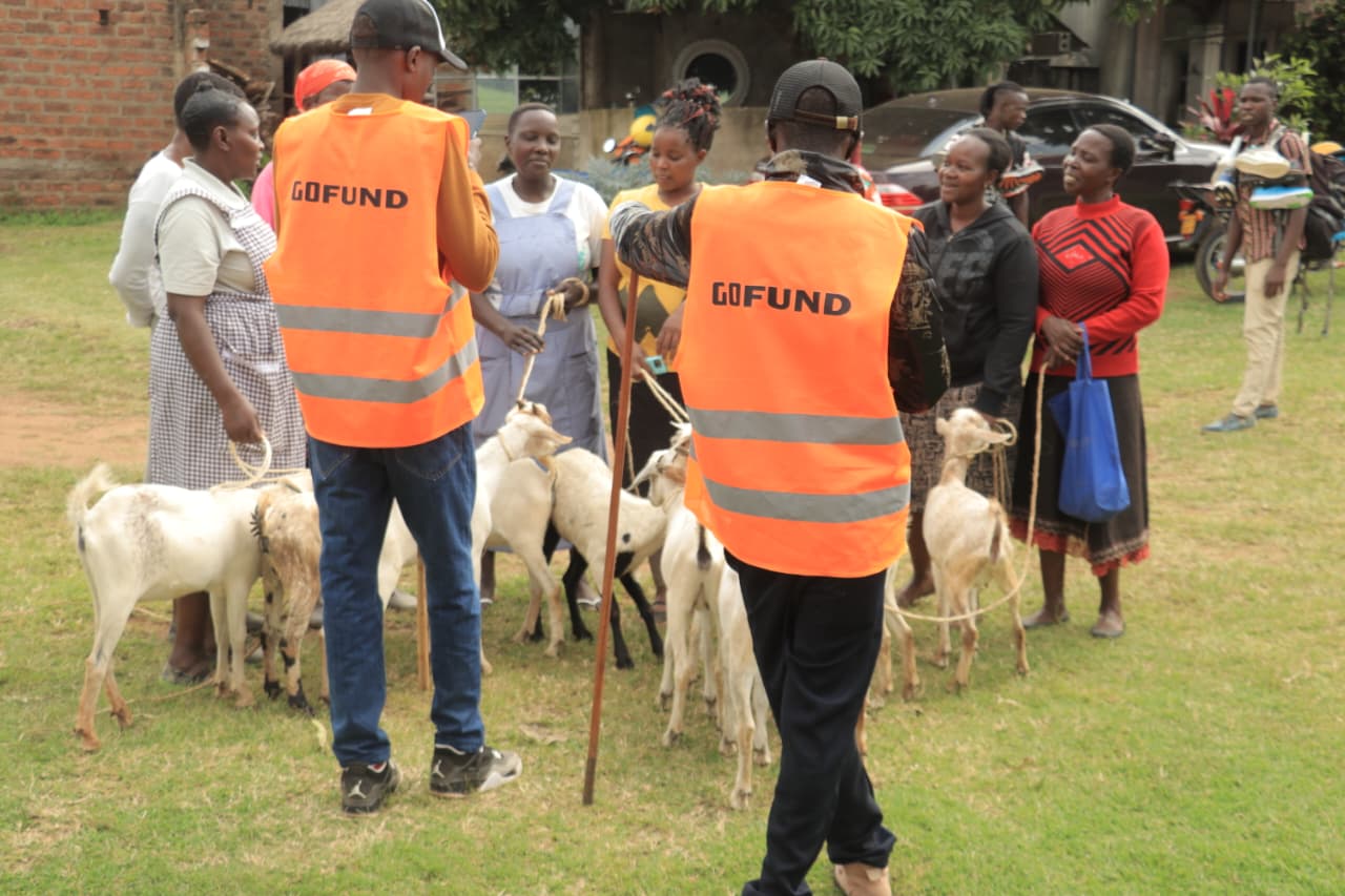 Gift a Goat Program